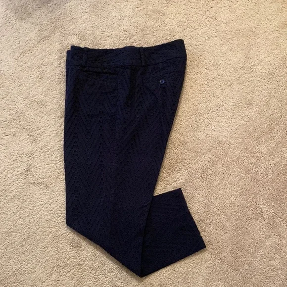The Limited Navy Blue Capri Pants - Picture 1 of 4